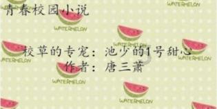 三招监管房地产“母子公司”资金