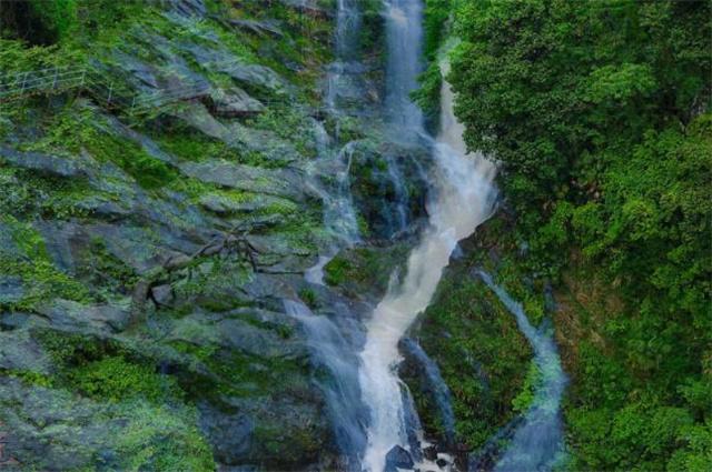 西部矿业(601168.SH)控股股东累计增持公司595.75万股